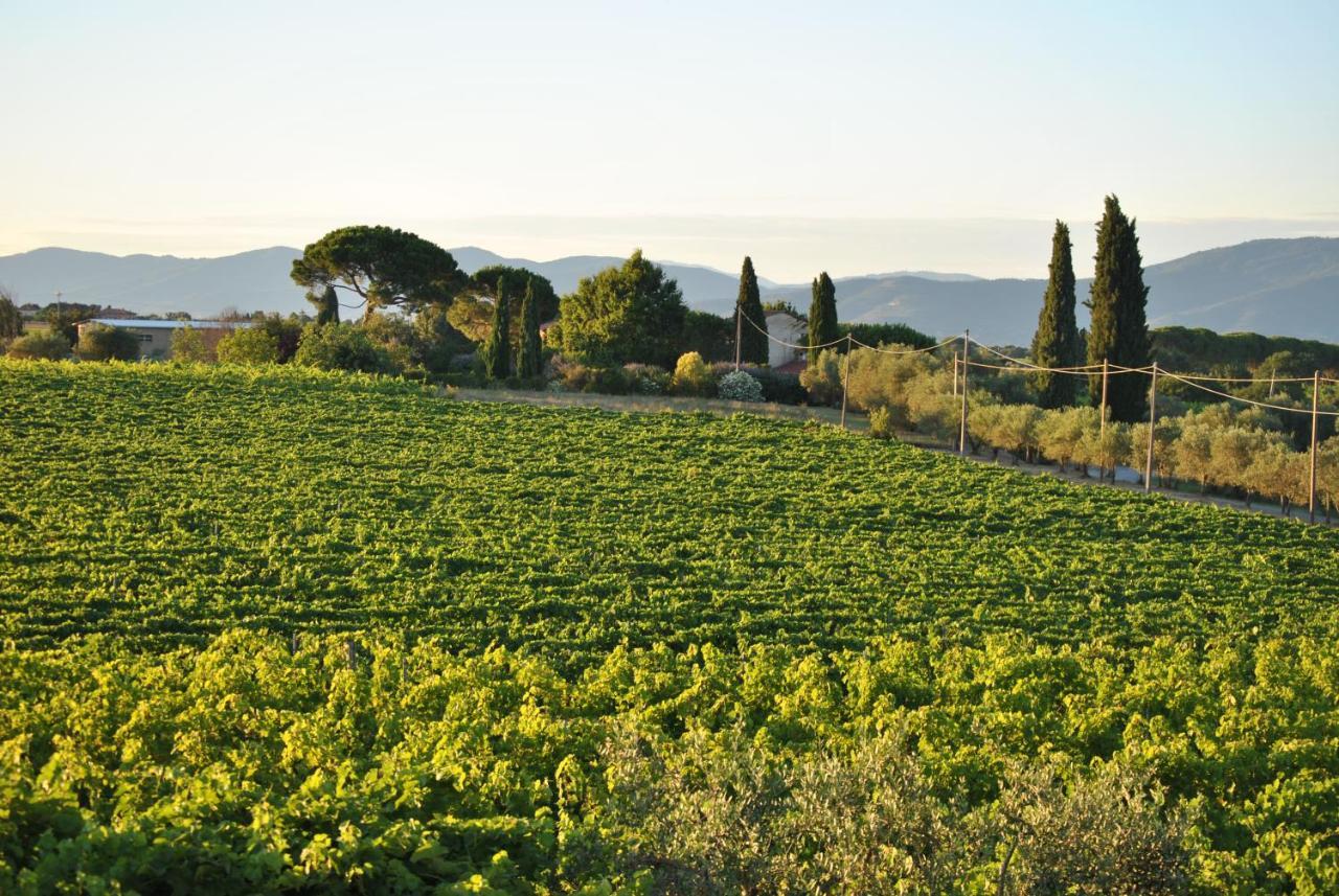 Villa La Valiana - Full Estate In Montepulciano - Heated Pool Valiano Kültér fotó